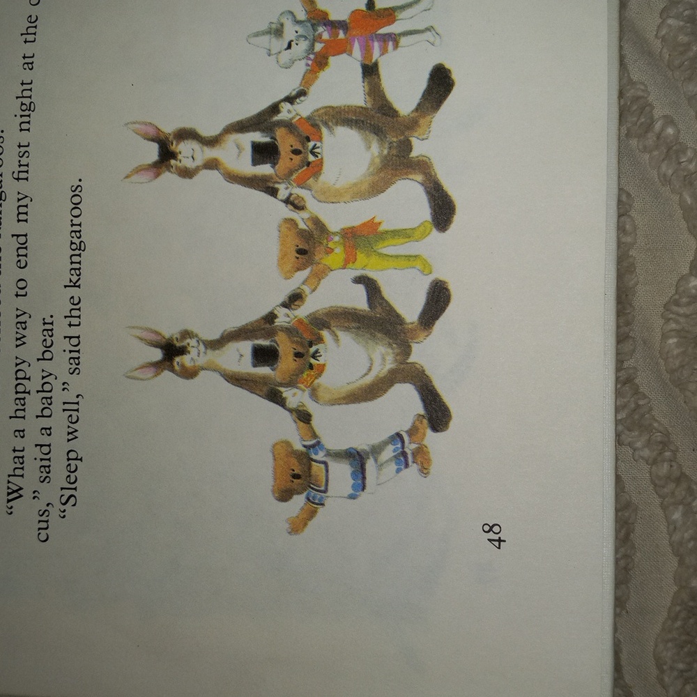 Vintage 1971 Bear Circus Hardcover Book by William Pene du Bois 42 Pages - Picture 16 of 16
